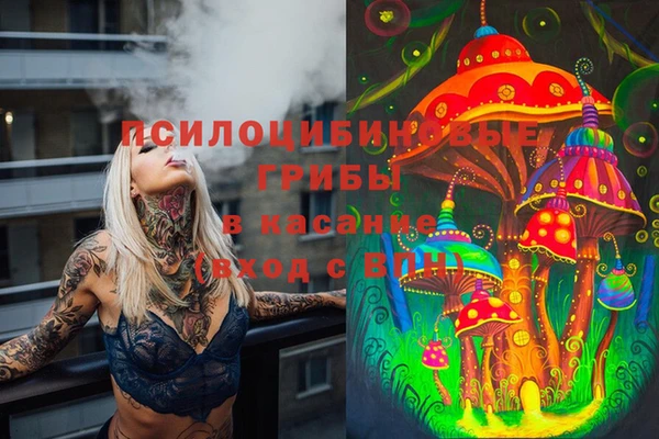 прущие грибы Абдулино