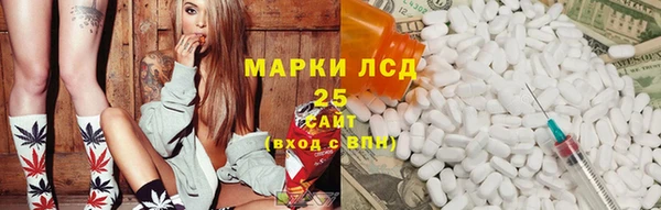 прущие грибы Абдулино