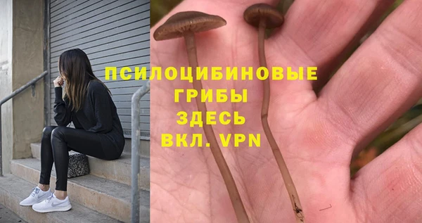 твердый Медногорск