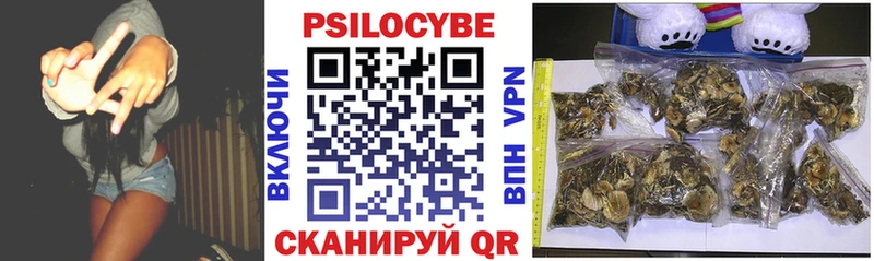 Галлюциногенные грибы MAGIC MUSHROOMS  darknet состав  Струнино  наркошоп 